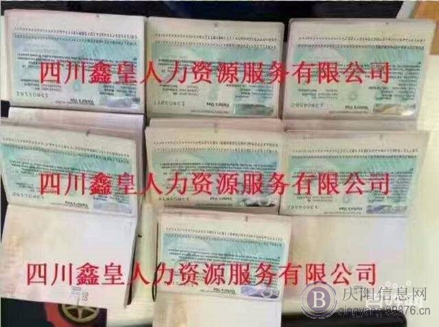 瑞士奶酪厂急招，保底月薪2万5以上（不成功0费用）